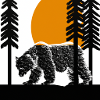 Bär im Wald