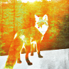 Ein Fuchs auf der Lichtung