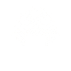 VTT