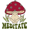 Mushroom meditation