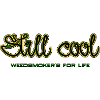 Still cool