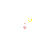 Pirate Cat