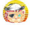 Cat Pirate