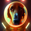 The Universe Dog