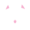 Pirate Cat