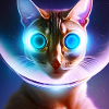 The Universe Cat