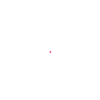 My dog makes me happy