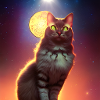 The Universe Cat