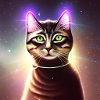 The Universe Cat