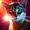 The Universe Cat