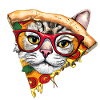 Fluffy Pizza Cat