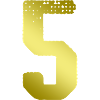 Maillot 5 numéros
