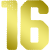 16 Number jersey