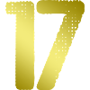 17 Number jersey