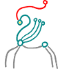 avatar de cheval