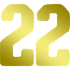 22 Number jersey