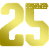 25 Number jersey