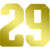 29 Maillot numéro