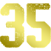 35 Number jersey