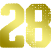 28 Number jersey