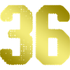 36 Number jersey