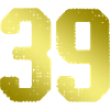 39 Number jersey
