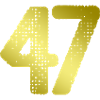 47 Number jersey