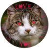 Chat - JE T’AIME