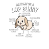 Holland Lop
