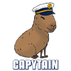 Captain Capybara Capytain