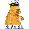 Captain Capybara Capytain