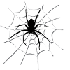 Spiderweb
