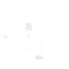 Cat Illustration