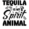 Tequila, limes, lemons and sunshine