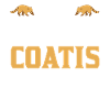 Coati Gift Proboscis Coati