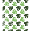 Monstera Pattern