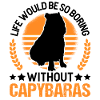 Capybara Gift Capibara capybara
