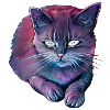 AquarelleCat