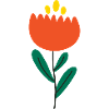 Fleur Tulipe Naturelle