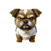 Before you ask no