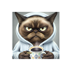 Before you ask no