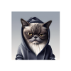 Avant de demander non