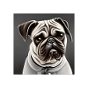 Before you ask no