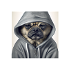 Before you ask no