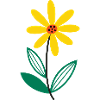 Flower Beautiful Nature