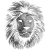 Leon in the shadows