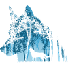 Wolf Doppelbelichtungswald