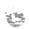 Owl at night
