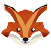 Cute Fox Design