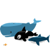 Baleines et requins kawaii